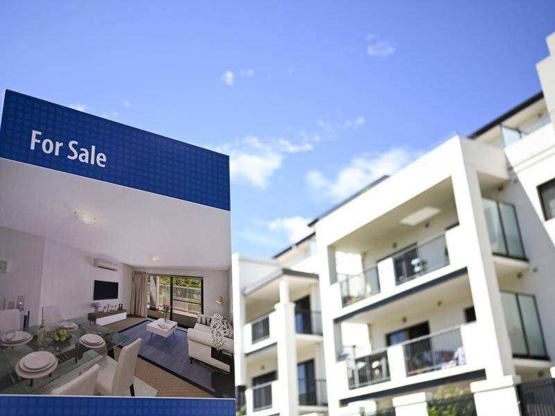 Australia's housing market is showing signs of life following interest rate cuts and falling prices.