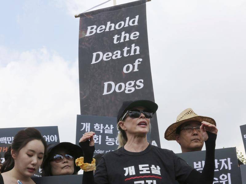 Actress Kim Basinger has spoken during a rally in Seoul, South Korea to oppose eating dog meat.