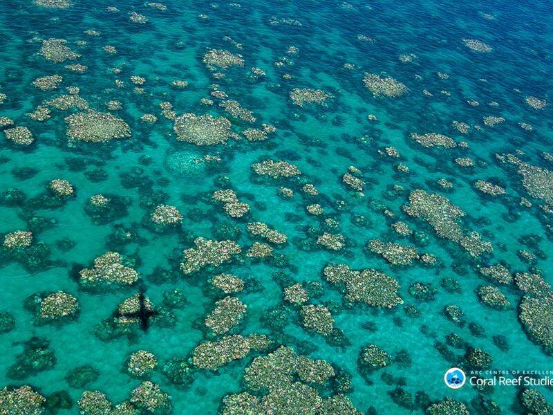 Queensland MPs are considering laws to reduce pollutants contaminating the Great Barrier Reef.