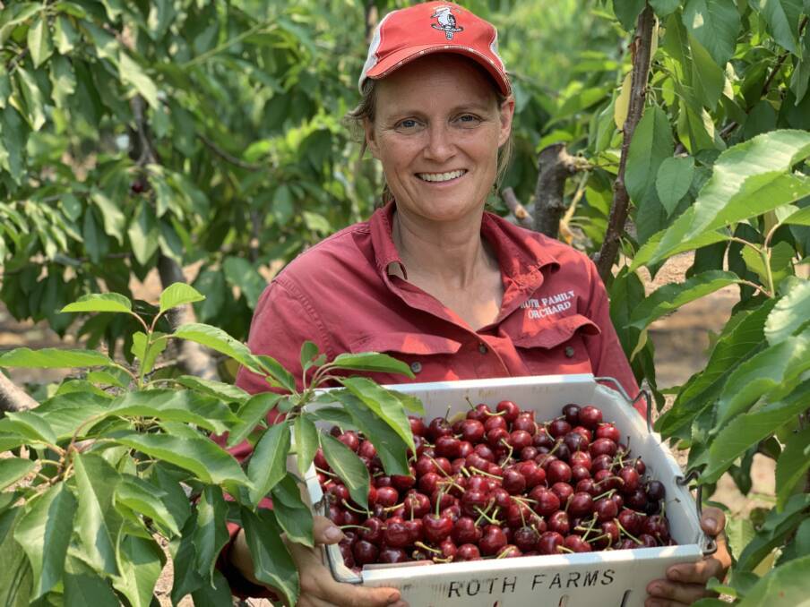 AMONG THE TREES: Ingrid Roth with a crate of freshly-picked cherries at Roth Family Orchard. Photo: Benjamin Palmer