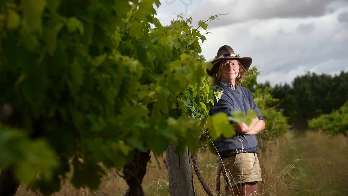 WINE STRUGGLE: Bridgewater winemaker Peter Cumming exported nearly half of his wine to China, before the country imposed heavy tariff. Picture: DARREN HOWE