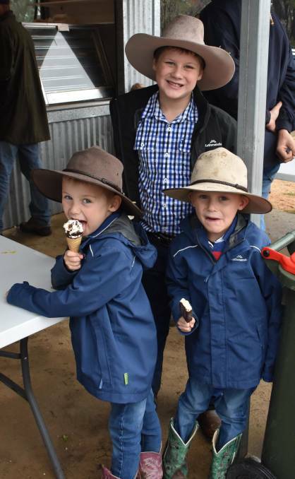 NO SHOW: Lucas, Noah and Tommy Kable at the 2020 Rydal Show. Photo: ALANNA TOMAZIN.
