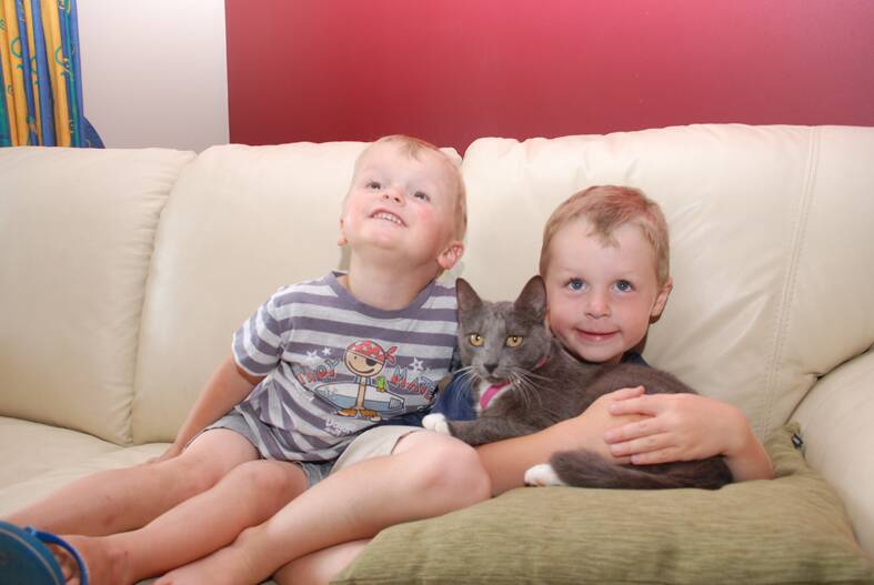 Harrison (3) and Cooper Brown (5) of Valley Heights with their beloved cat Pebbles who reappeared last week after disappearing during the October bushfires.