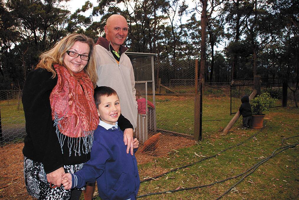 Yellow Rock couple Sharon and Simon Green with adopted son, James, 7 and  in the background a four-year-old girl, who they are in the process of adopting, and an 21-month-old boy in long-term foster care.